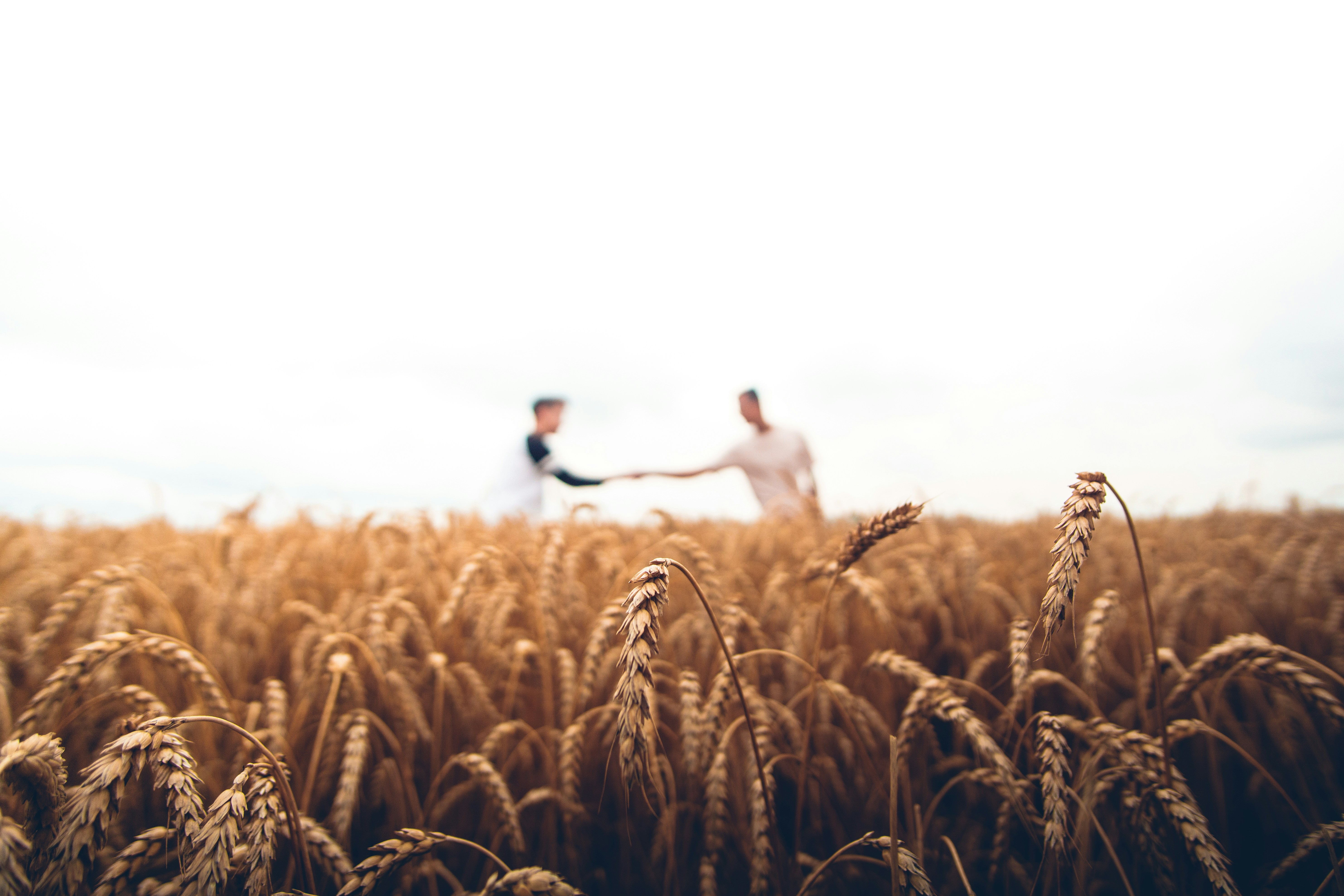 Femmes en agriculture
